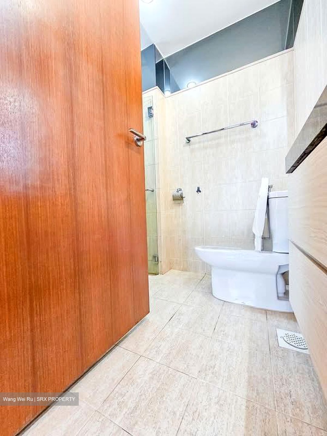 Tanglin View (D3), Condominium #582348171